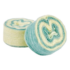 Сегментированная окрашенная пряжа для вязания DIY-TAC0033-03D