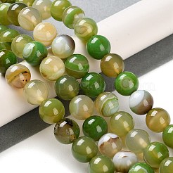 Натуральные полосатые агатовые / полосатые агатовые бусинки&nbsp;G-Z060-A01-C02