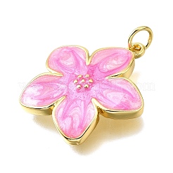 Латунь эмаль подвески KK-V011-29G-D