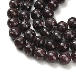 Натуральный лепидолит / пурпурный слюдяный камень бисер пряди&nbsp;G-H335-B03-10mm-A