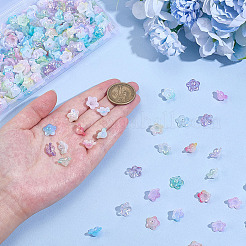 300 шт. двухцветные акриловые колпачки для бусин&nbsp;OACR-ME0001-16