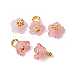 11шт акриловые цветочные подвески&nbsp;PALLOY-JF03584