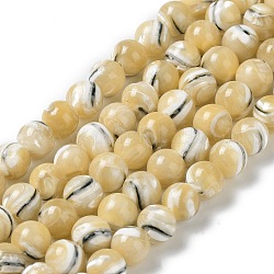 Brins de perles de coquillages naturels de troca, ronde, verge d'or, 6~6.5mm, Trou: 0.5mm, Environ 63~64 pcs/chapelet, 15.35''~15.55'' (39~39.5 cm)
