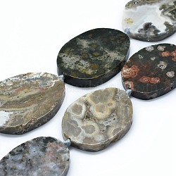 Natur Ozean Jaspis Perlen Stränge, Oval, 47.5~50.5x33.5~37x6.5~7 mm, Bohrung: 2 mm, ca. 8~9 Stk. / Strang, 16.7~16.9 Zoll (42.5~43 cm)