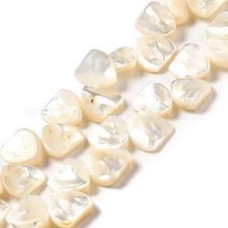 Shell normal de perles blanches de brins, triangle, blanc, 12x12x3mm, Trou: 0.5mm, Environ 46 pcs/chapelet, 15.55 pouce (39.5 cm)
