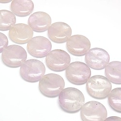 Naturelles plates rondes perles d'améthyste brins, 25x7mm, Trou: 1mm, Environ 16 pcs/chapelet, 15.74 pouce