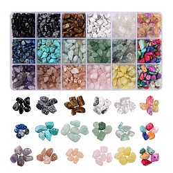 270G 18 Style Natural & Synthetic Gemstone and Shell Chip Beads, for Jewellery Making, 15g/style