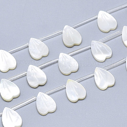 Charms in madreperla conchiglia bianca naturale, cuore, bianco crema, 12.5x9x2.5mm, Foro: 0.5 mm