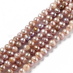 Fili di perle di perle d'acqua dolce coltivate naturali, patata, sella marrone, 6~6.5x5~7mm, Foro: 0.6 mm, circa 61pcs/filo, 13.58 pollice (34.5 cm)