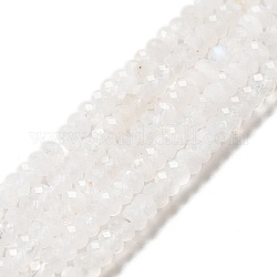 Natural Rainbow Moonstone Beads Strands, Faceted, Rondelle, 4x2mm, Hole: 0.7mm, about 152pcs/strand, 15.35''(39cm)