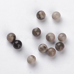 Perles en bois pétrifié naturel, sphère de pierres précieuses, pas de trous / non percés, ronde, 8mm
