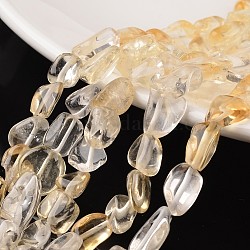 Nuggets natürlichen Citrin Perlenstränge, 9~15x8~12x5~8 mm, Bohrung: 1 mm, etwa 15.7 Zoll