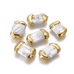 Natur kultivierten Süßwasser Perlen, mit Messing-Zubehör, Rechteck, weiß, golden, 23.5~28x16~20.5x6.5~11 mm, Bohrung: 0.7 mm