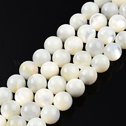 Fili di perline di conchiglia bianco naturale, tondo, 8.5~9mm, Foro: 0.7 mm, circa 43pcs/filo, 14.96 pollice (38 cm)