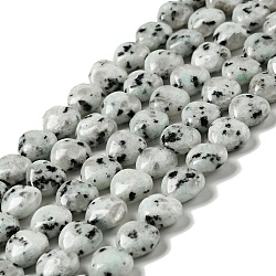 Fili di perle di diaspro / kiwi di sesamo naturale, cuore, 10x10.5~11x6mm, Foro: 1.2 mm, circa 40pcs/filo, 15.35'' (39 cm)