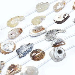 Natural Agate Beads Strands, Nuggets, 30~62x12~33x4~6mm, Hole: 1mm, about 6pcs/strand, 15.9 inch(40.5cm)