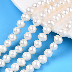 Fili di perle di perle d'acqua dolce coltivate naturali, patata, bianco crema, 6.5~7.5mm, Foro: 0.6 mm, circa 57~58pcs/filo, 14.96~15.16 pollice (38~38.5 cm)