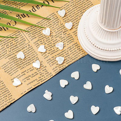 Бусины из натуральных трохоидных/трохус ракушек SHEL-CJ0001-21-1