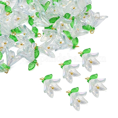 50шт прозрачные акриловые подвески PALLOY-FS00038-04-1