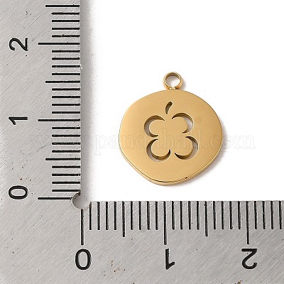 Подвески из нержавеющей стали 304 STAS-L022-312G-1