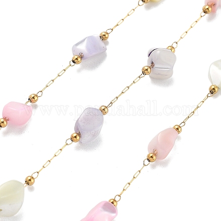 Цепи из ракушек и овальных бусин из нержавеющей стали 304 CHS-K021-09G-01-1