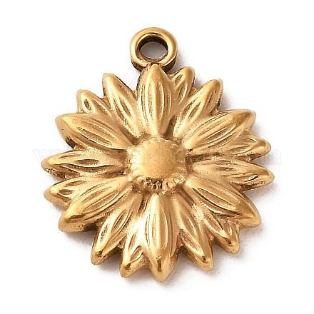 Pendentifs en acier inoxydable 304 avec placage ionique (IP)&nbsp;STAS-F298-01-1