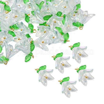 50шт прозрачные акриловые подвески PALLOY-FS00038-04-1