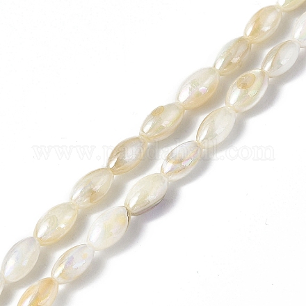 Eau douce naturelle de coquillage perles brins SHEL-C003-06-1