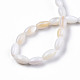 Eau douce naturelle de coquillage perles brins SHEL-N026-212-4