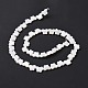 Eau douce naturelle de coquillage perles brins SHEL-H002-02E-4