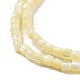 Natural Trochus Shell Beads Strands SSHEL-H070-02F-4