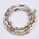 Chapelets de perles en coquille d'eau douce  SHEL-S276-34B-2