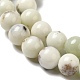 Natural Dendritic Jasper Beads Strands G-H298-A15-02-4