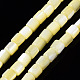Coquille de trochid naturel / brins de perles de coquille de trocas SSHEL-N034-77-C06-1