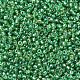 MIYUKI Round Rocailles Beads SEED-JP0008-RR1015-4