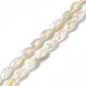 Eau douce naturelle de coquillage perles brins SHEL-C003-06-1