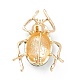 Pin de esmalte de escarabajo JEWB-P012-08G-4