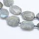Natural Labradorite Beads Strands G-J373-24F-2