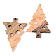 Transparent Resin & Walnut Wood Pendants RESI-S389-030A-B04-2