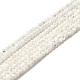 Натуральные белые бусины из ракушек G-N0190-11-2mm-2