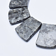 Natural Labradorite Beads Strands G-E444-03A-2