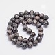Round Natural Fossil Bead Strands G-L419-49A-2
