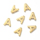 304 Stainless Steel Charms X-STAS-P141-A-2