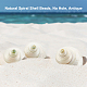 PH PandaHall 16pcs Natural Spiral Shell Beads SHEL-PH0001-42-3