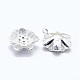 Sterling Silver Charms STER-I016-057S-2
