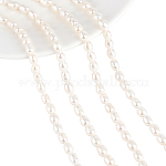 Nbeads 2 Strands Natural Cultured Freshwater Pearl Beads Strands, Rice, Seashell Color, 6~7.5x5~6mm, Hole: 0.6mm, about 52~54pcs/strand, 14.17''(36cm)