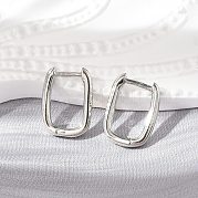 Латунные английском замке Серьги-кольца EJEW-L234-61-P