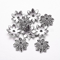 Тибетские серебряные бусины крышков X-LF1027Y