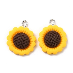 Подвески из смолы&nbsp;LS-X-RESI-C002-27