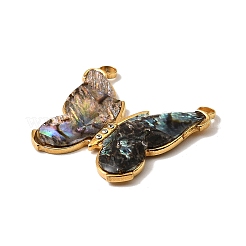 304 подвеска из натуральной ракушки пауа из нержавеющей стали 304&nbsp;STAS-Z148-01G